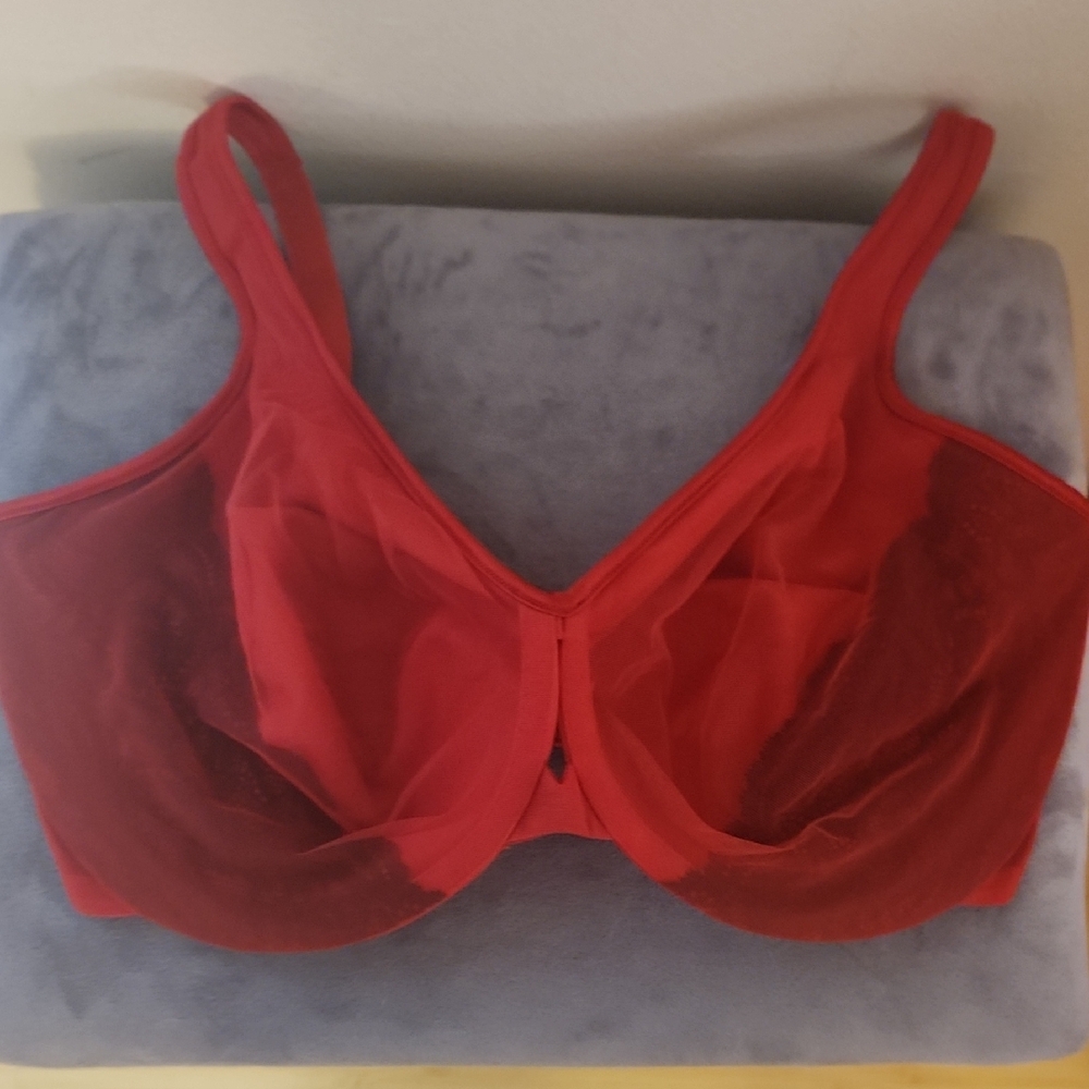 Lilyette Red Full-Coverage Bra with Molded Cups